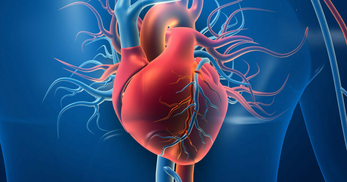 Cardiovascular Disease What is it?