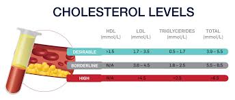 Cholesterol A Balancing Act