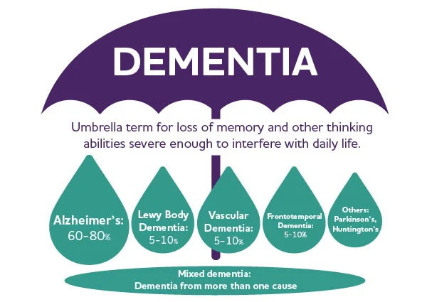 Dementia A Decline in Cognitive Function