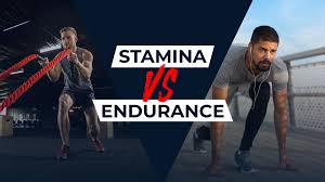 Endurance and Stamina