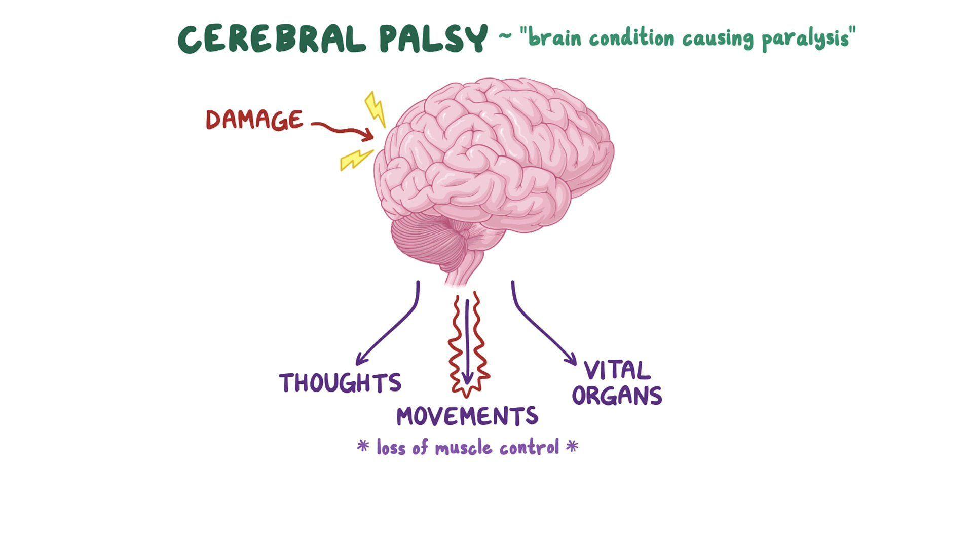 Cerebral Palsy-Related Disorders